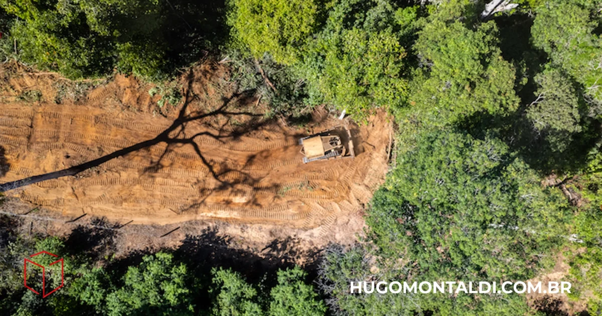 15ª Mostra Ecofalante de Cinema: Inscrições Abertas para Filmes com Foco Socioambiental