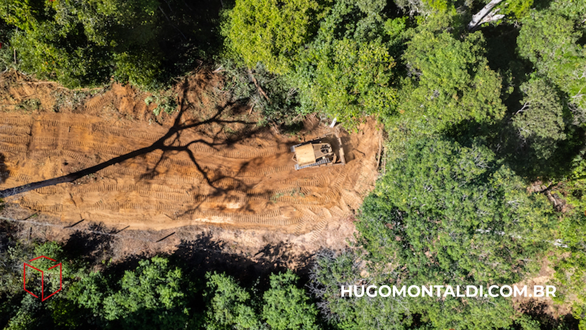 15ª Mostra Ecofalante de Cinema: Inscrições Abertas para Filmes com Foco Socioambiental