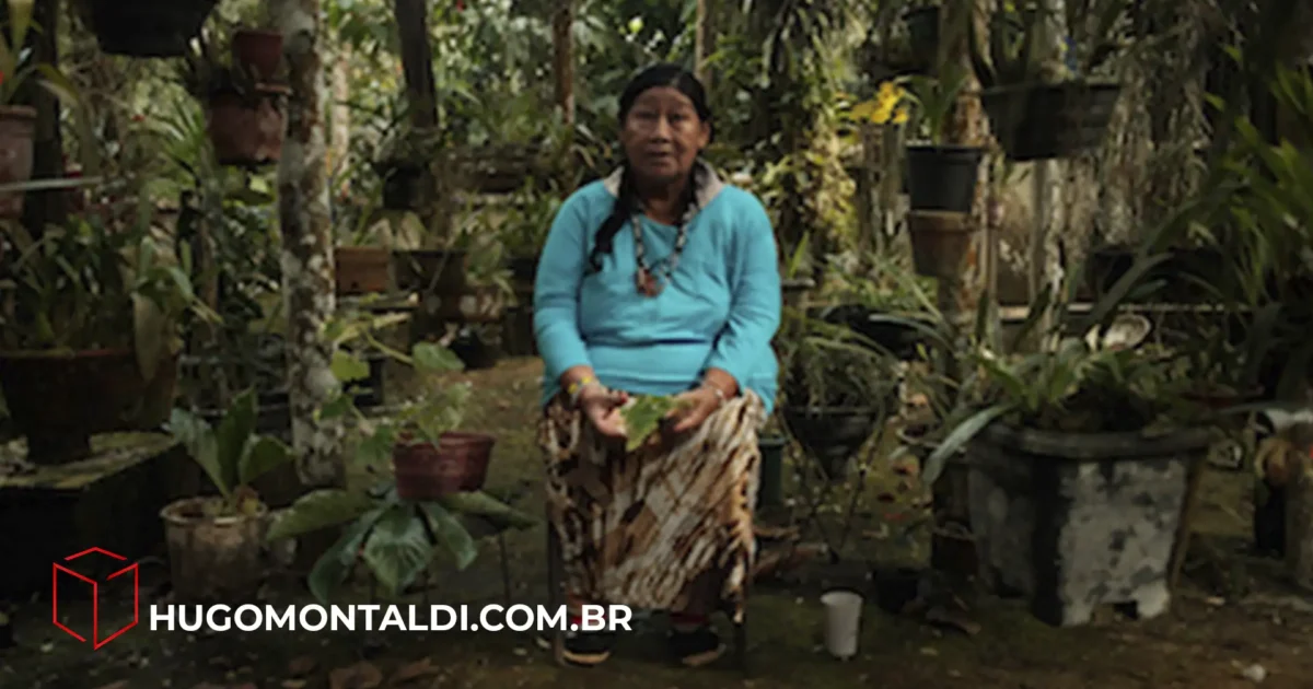 Citronela Doc celebra sua 6ª edição com premiações inéditas e mostra internacional