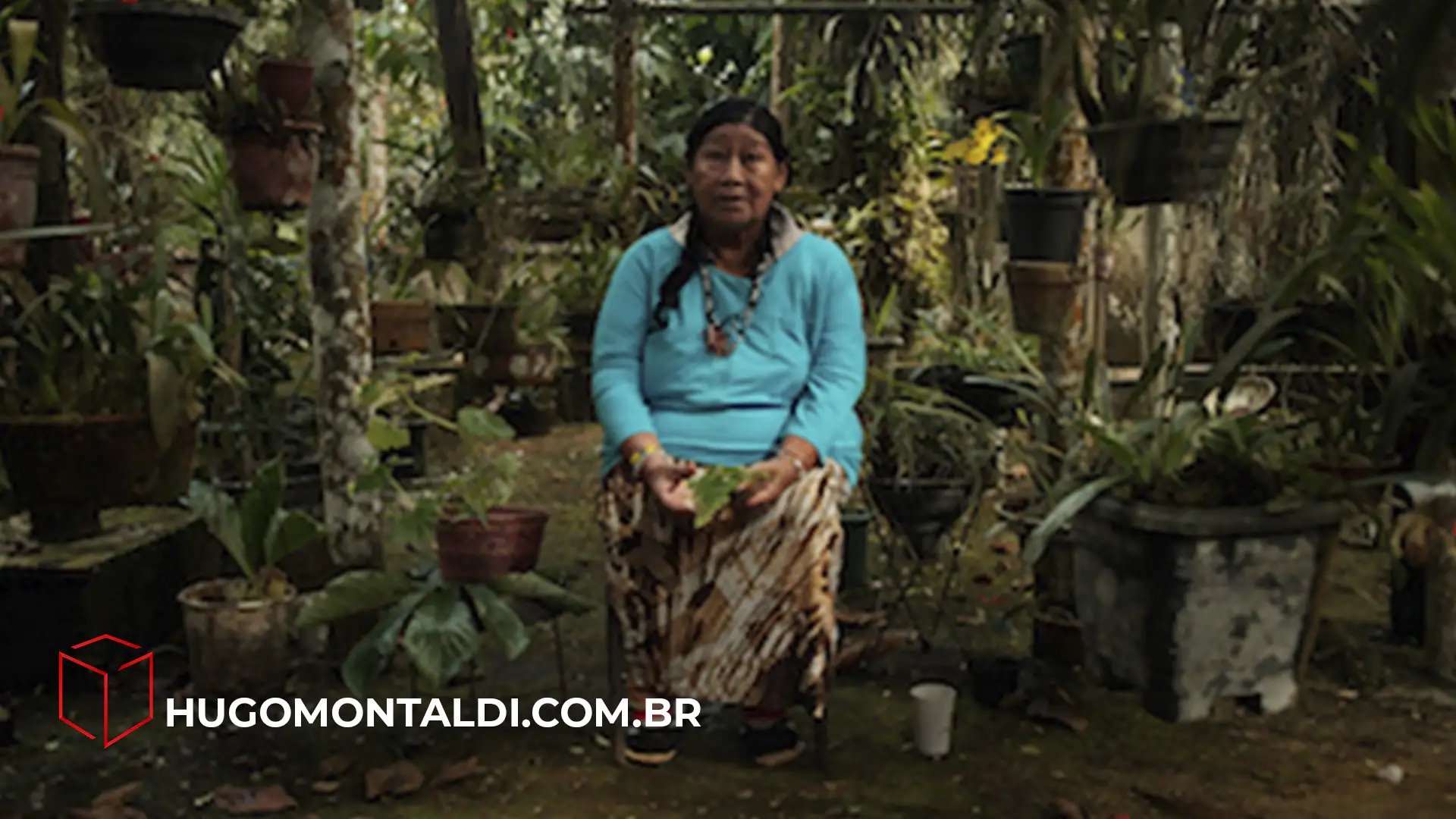 Citronela Doc celebra sua 6ª edição com premiações inéditas e mostra internacional
